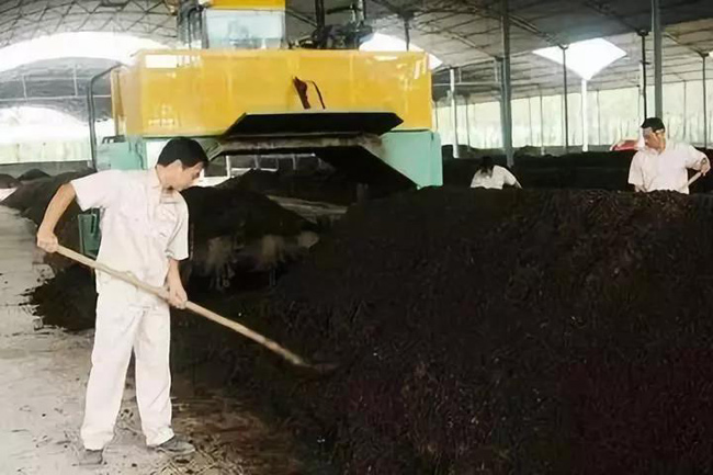 禽糞有機(jī)肥生產(chǎn)國家補(bǔ)貼對象、申報(bào)條件、流程、考核(圖1) 有機(jī)肥翻拋現(xiàn)場