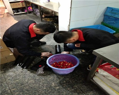 北京通州區(qū)食品廠滅臭蟲(chóng)服務(wù)全解析 專業(yè)除蟲(chóng)與公關(guān)策略